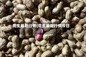 花生最新行情(花生最新行情今日)