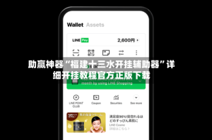 助赢神器“福建十三水开挂辅助器”详细开挂教程官方正版下载