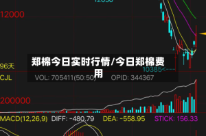 郑棉今日实时行情/今日郑棉费用