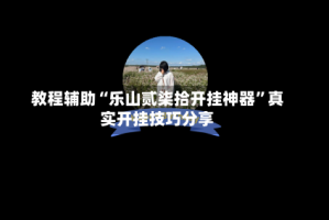 教程辅助“乐山贰柒拾开挂神器”真实开挂技巧分享