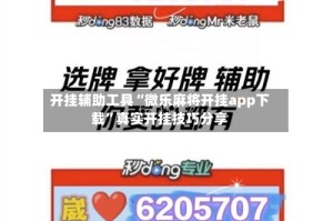 开挂辅助工具“微乐麻将开挂app下载”真实开挂技巧分享