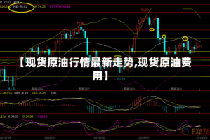 【现货原油行情最新走势,现货原油费用】
