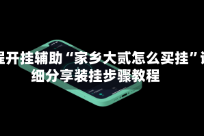 教程开挂辅助“家乡大贰怎么买挂”详细分享装挂步骤教程