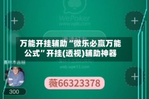 万能开挂辅助“微乐必赢万能公式”开挂(透视)辅助神器