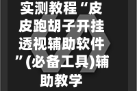 实测教程“皮皮跑胡子开挂透视辅助软件”(必备工具)辅助教学
