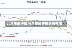 九月玉米行情/9月玉米费用走势预测