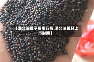 【湖北油菜子费用行情,湖北油菜籽上市时间】