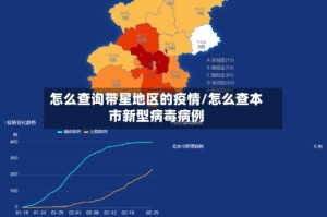 怎么查询带星地区的疫情/怎么查本市新型病毒病例
