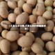 【大豆七日行情,大豆七日行情最新消息】