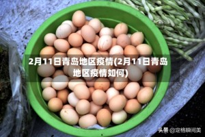 2月11日青岛地区疫情(2月11日青岛地区疫情如何)