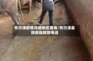 布尔津疫情详细地区查询/布尔津县防疫指挥部电话