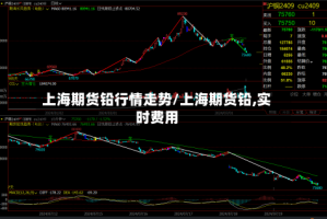 上海期货铅行情走势/上海期货铅,实时费用