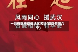 一共有哪些疫情地区名称(疫区有哪几个)