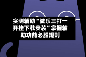 实测辅助“微乐三打一开挂下载安装”掌握辅助功能必胜规则