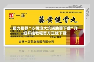 强力推荐“心悦填大坑辅助器下载”详细开挂教程官方正版下载
