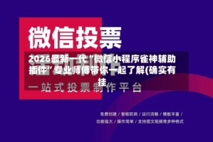 2026最新一代“微信小程序雀神辅助插件”专业师傅带你一起了解(确实有挂