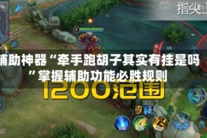 辅助神器“牵手跑胡子其实有挂是吗”掌握辅助功能必胜规则