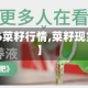【2016菜籽行情,菜籽现货费用】