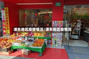浦东地区疫情情况/浦东新区疫情况