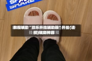 教程辅助“微乐开挂辅助器”开挂(透视)辅助神器