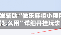 2026首发辅助“微乐麻将小程序开挂器怎么用”详细开挂玩法