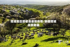 塔域地区额敏县最新疫情/新疆塔城区额敏县