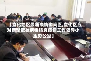 【宣化地区最新疫情南岗区,宣化区应对新型冠状病毒肺炎疫情工作领导小组办公室】