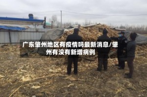 广东肇州地区有疫情吗最新消息/肇州有没有新增病例