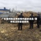 广东肇州地区有疫情吗最新消息/肇州有没有新增病例