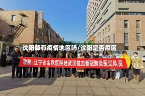 沈阳算有疫情地区吗/沈阳是否疫区