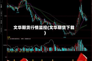 文华期货行情监控(文华期货下载)