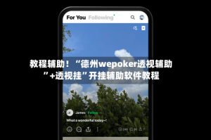 教程辅助！“德州wepoker透视辅助”+透视挂”开挂辅助软件教程