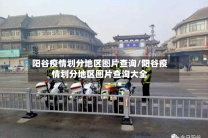 阳谷疫情划分地区图片查询/阳谷疫情划分地区图片查询大全