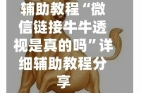辅助教程“微信链接牛牛透视是真的吗”详细辅助教程分享