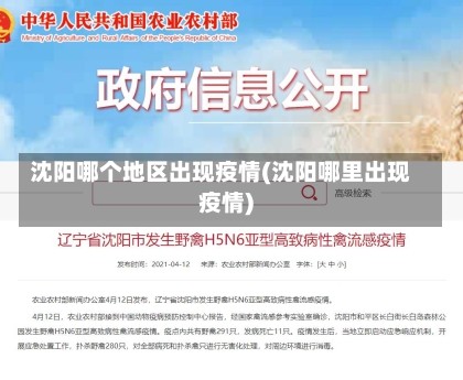 沈阳哪个地区出现疫情(沈阳哪里出现疫情)