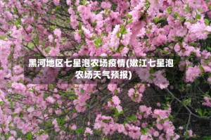 黑河地区七星泡农场疫情(嫩江七星泡农场天气预报)