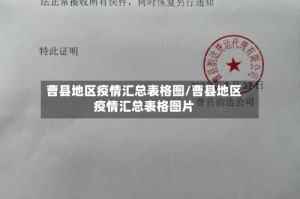 曹县地区疫情汇总表格图/曹县地区疫情汇总表格图片