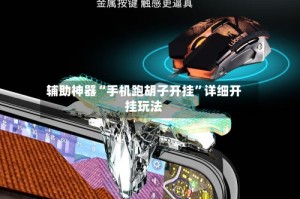 辅助神器“手机跑胡子开挂”详细开挂玩法