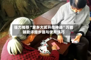 强力推荐“家乡大贰开挂神器”万能辅助详细步骤与使用技巧