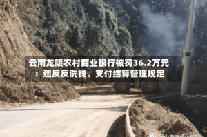 云南龙陵农村商业银行被罚36.2万元：违反反洗钱、支付结算管理规定