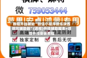 教程开挂辅助“微信小程序微乐陕西挖坑辅助器”(透视)开挂辅助脚本+详细开挂安装教程