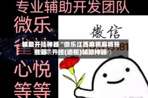 辅助开挂神器“微乐江西麻将麻将开挂器”开挂(透视)辅助神器