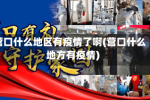 营口什么地区有疫情了啊(营口什么地方有疫情)