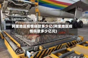 阿里地区疫情捐款多少亿(阿里地区疫情捐款多少亿元)