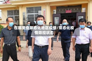 在哪里查常态化地区疫情/常态化疫情防控状态