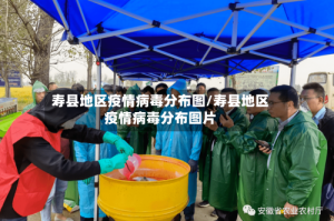 寿县地区疫情病毒分布图/寿县地区疫情病毒分布图片