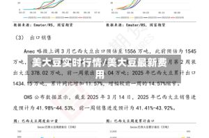 美大豆实时行情/美大豆最新费用