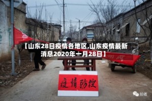 【山东28日疫情各地区,山东疫情最新消息2020年一月28日】