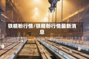 铁精粉行情/铁精粉行情最新消息