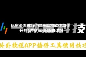 玩家必看教程“微乐麻将软件助手”开挂(透视)最新辅助详细